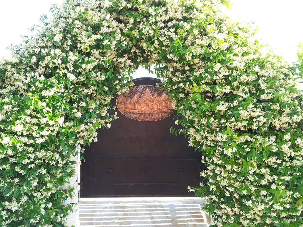 I Trulli Del Nonno Michele Guest House อัลเบโรเบลโล ภายนอก รูปภาพ