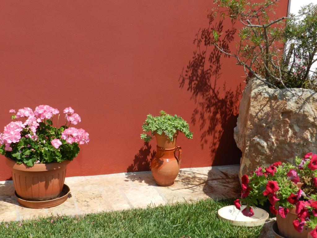 I Trulli Del Nonno Michele Guest House อัลเบโรเบลโล ภายนอก รูปภาพ