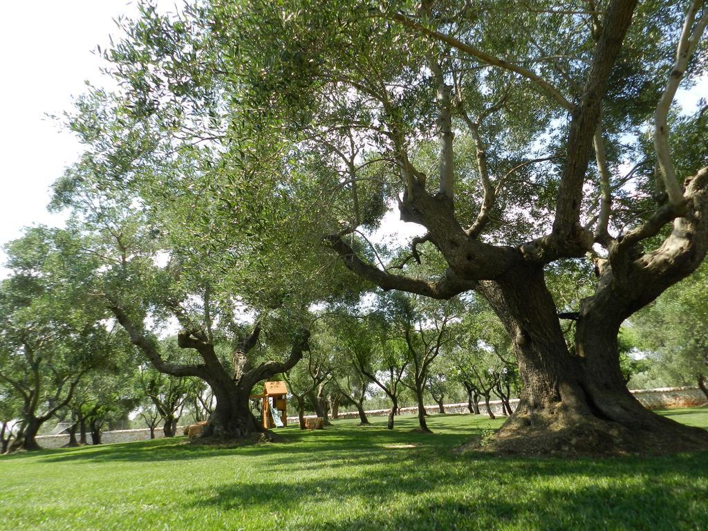 I Trulli Del Nonno Michele Guest House อัลเบโรเบลโล ภายนอก รูปภาพ