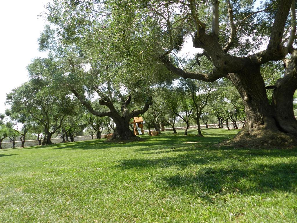 I Trulli Del Nonno Michele Guest House อัลเบโรเบลโล ภายนอก รูปภาพ
