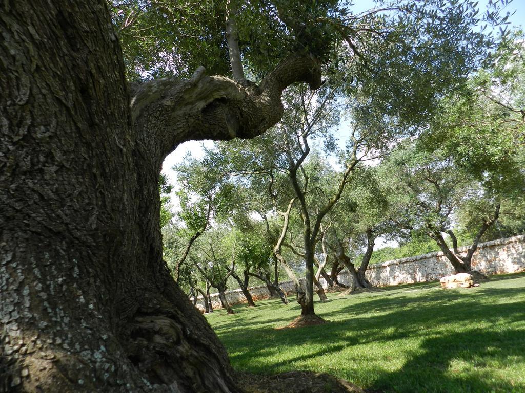 I Trulli Del Nonno Michele Guest House อัลเบโรเบลโล ภายนอก รูปภาพ